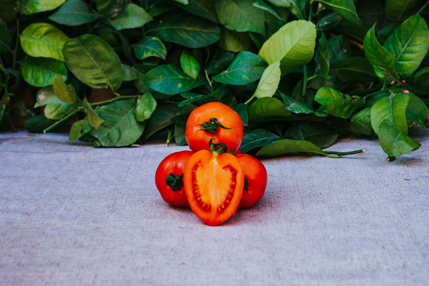 Tomate de Pera